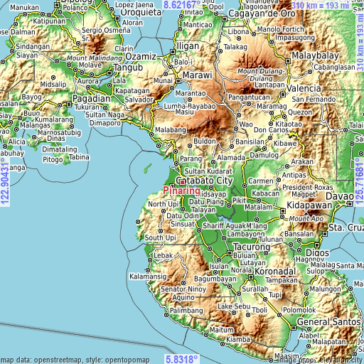 Topographic map of Pinaring