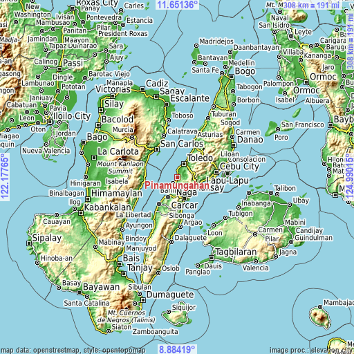 Topographic map of Pinamungahan