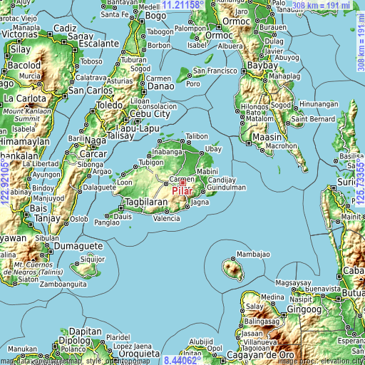 Topographic map of Pilar