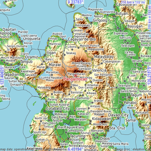 Topographic map of Pangantocan