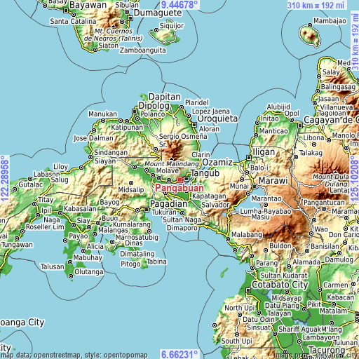 Topographic map of Pangabuan