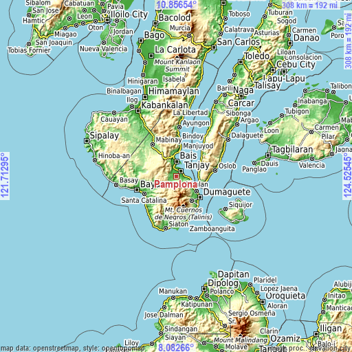 Topographic map of Pamplona