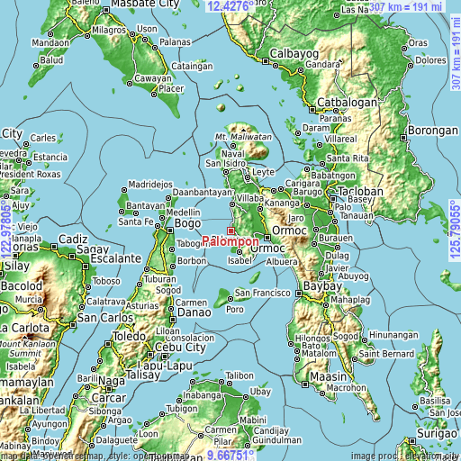 Topographic map of Palompon