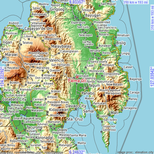 Topographic map of Palma Gil