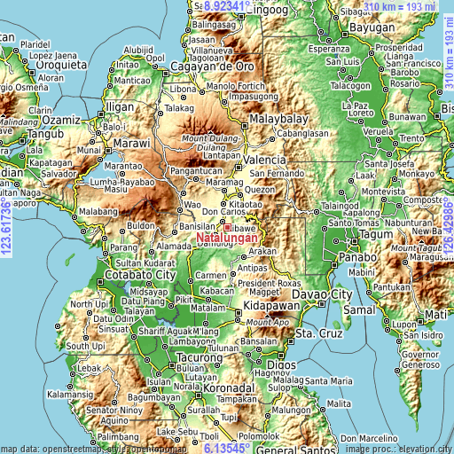 Topographic map of Natalungan