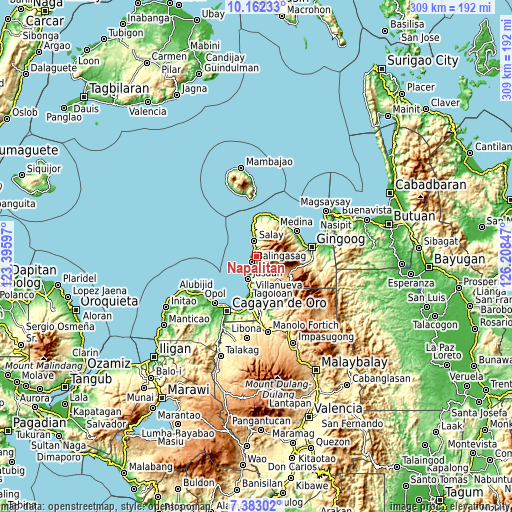 Topographic map of Napalitan