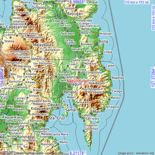 Topographic map of Nabunturan