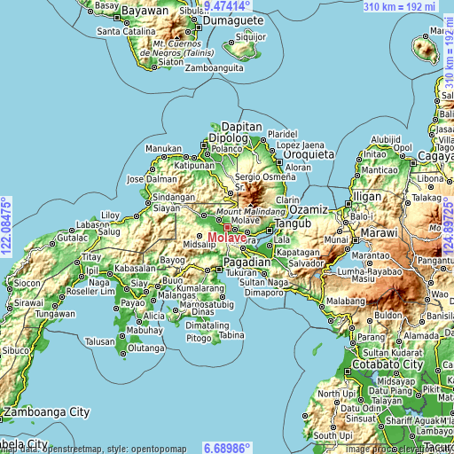 Topographic map of Molave