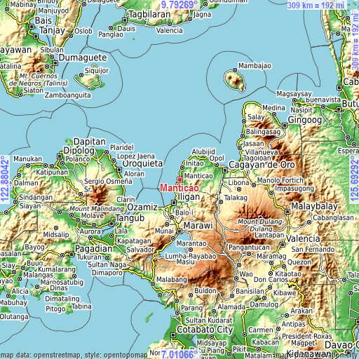 Topographic map of Manticao