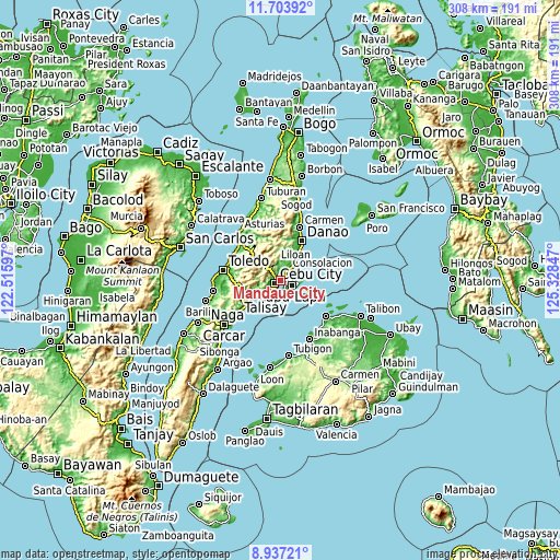 Topographic map of Mandaue City