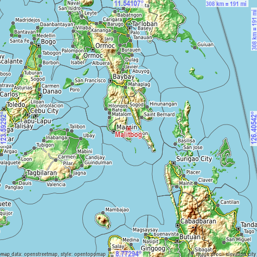 Topographic map of Malitbog