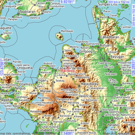 Topographic map of Malitbog