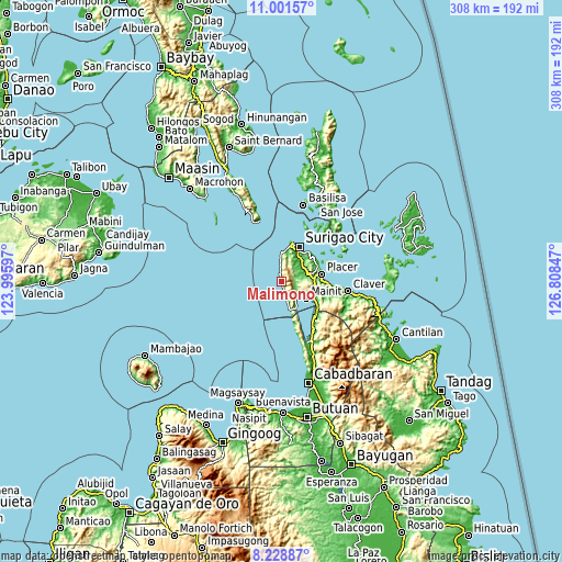 Topographic map of Malimono