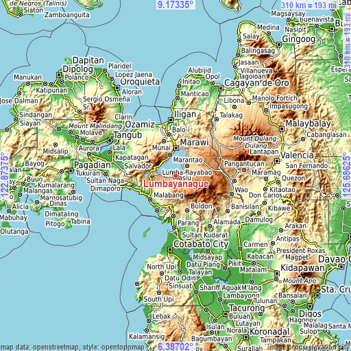 Topographic map of Lumbayanague