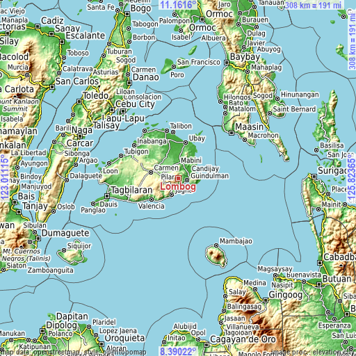 Topographic map of Lombog