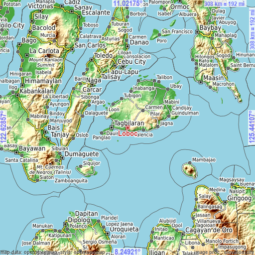 Topographic map of Loboc