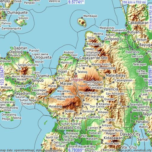 Topographic map of Lingion