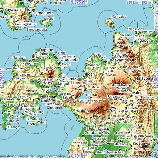 Topographic map of Linamon