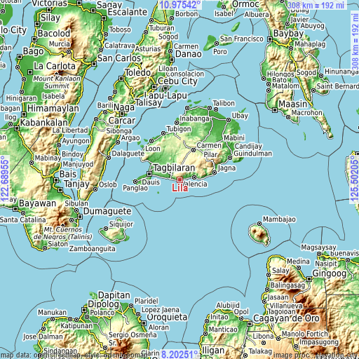 Topographic map of Lila