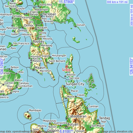 Topographic map of Libjo