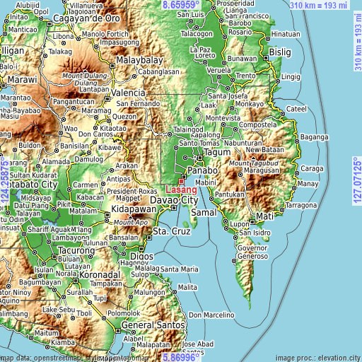 Topographic map of Lasang