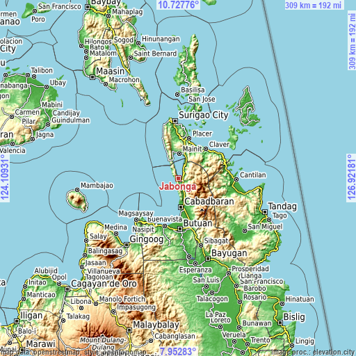 Topographic map of Jabonga