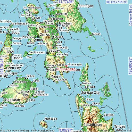 Topographic map of Hinunangan