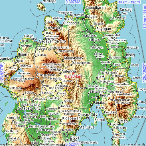 Topographic map of Halapitan