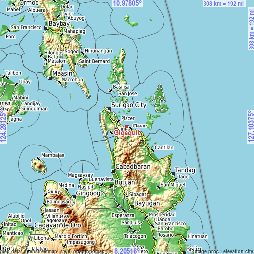 Topographic map of Gigaquit