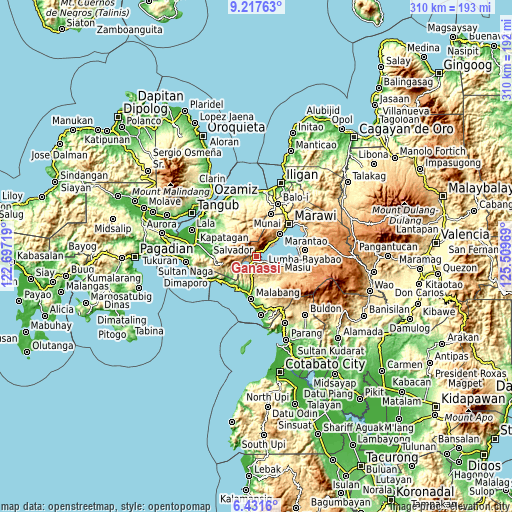 Topographic map of Ganassi