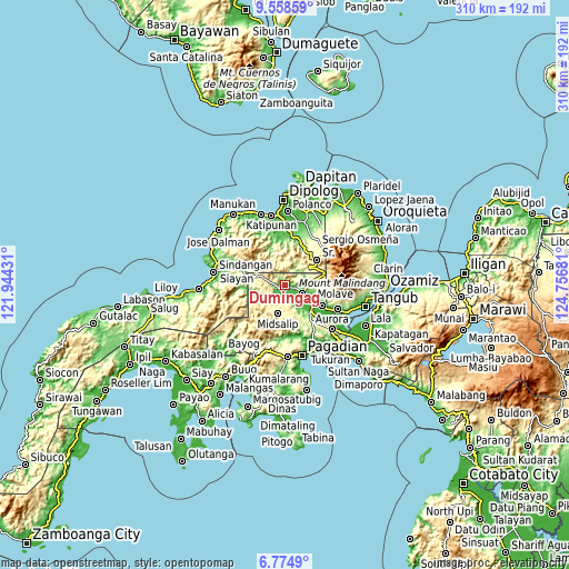 Topographic map of Dumingag