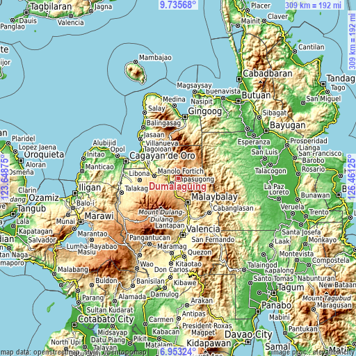 Topographic map of Dumalaguing