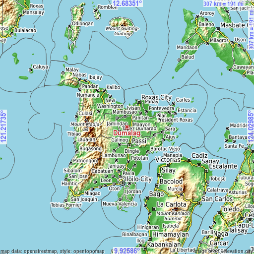 Topographic map of Dumalag