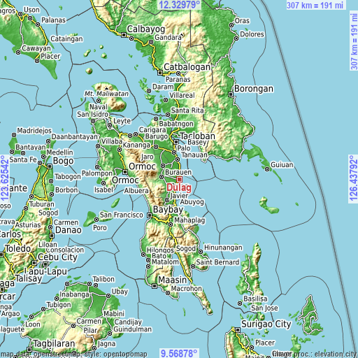 Topographic map of Dulag