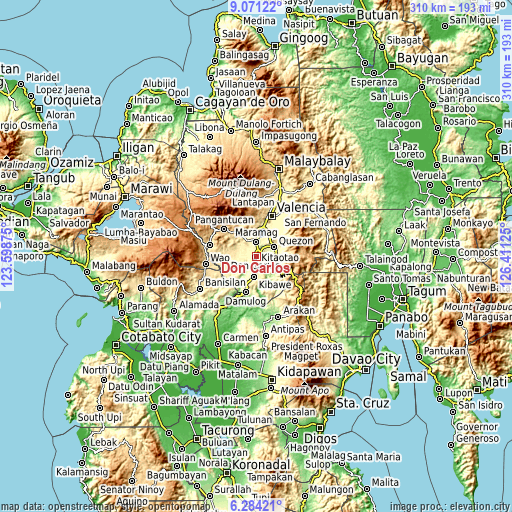 Topographic map of Don Carlos