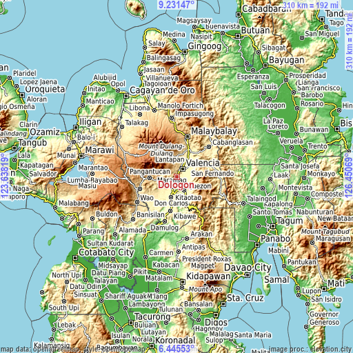 Topographic map of Dologon