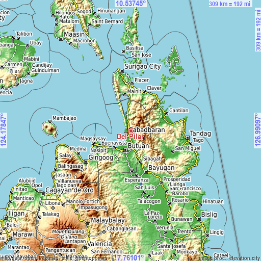 Topographic map of Del Pilar