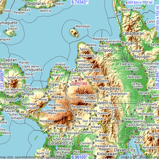 Topographic map of Damilag