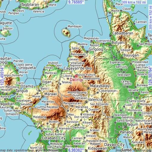 Topographic map of Dalirig