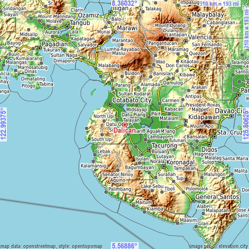 Topographic map of Dalican