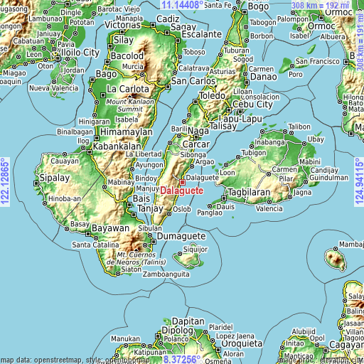 Topographic map of Dalaguete