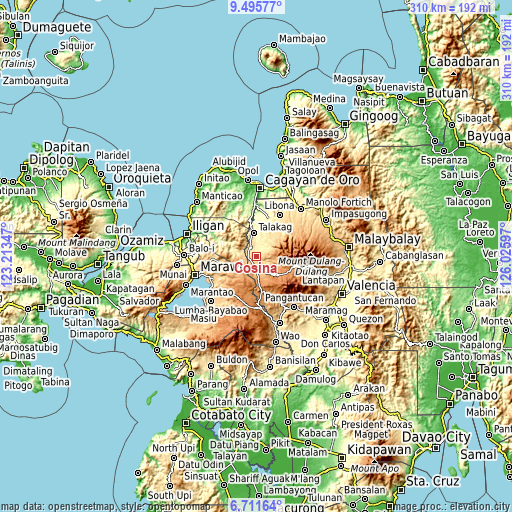 Topographic map of Cosina