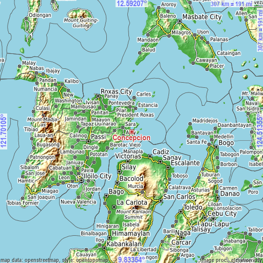 Topographic map of Concepcion