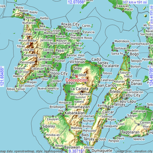 Topographic map of Concepcion