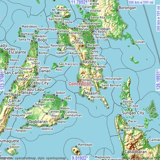 Topographic map of Concepcion