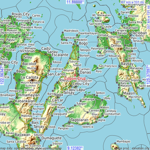 Topographic map of Cogon Cruz