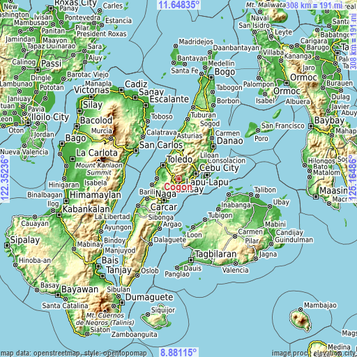 Topographic map of Cogon