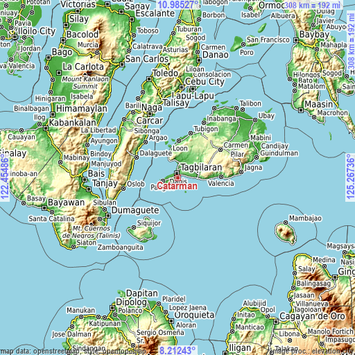 Topographic map of Catarman