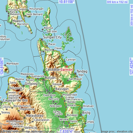 Topographic map of Carmen