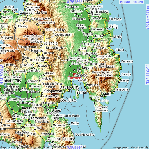 Topographic map of Carmen